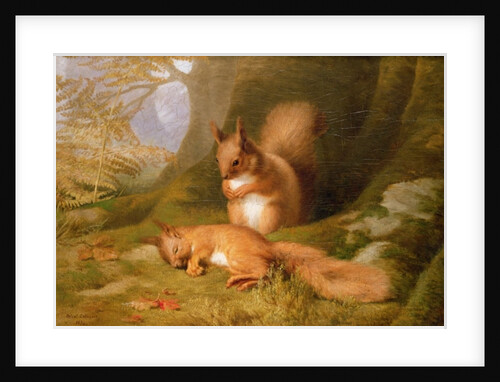 Squirrels in a Wood, 1874 by Robert Collinson