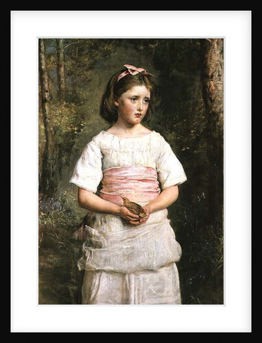 Dropped from the Nest by John Everett Millais