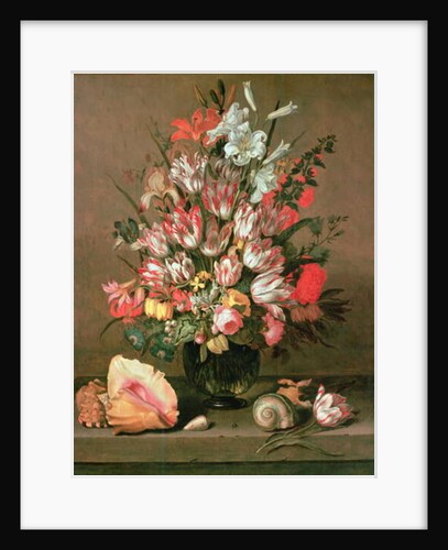 Tulips, Lilies, Irises and Roses by Anthony I Claesz
