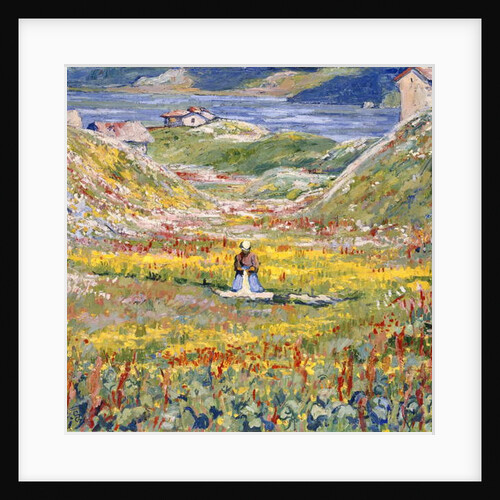 Flowering Meadows in Maloja; Bluhende wiesen bei Maloja, c.1912-1924 by Giovanni Giacometti