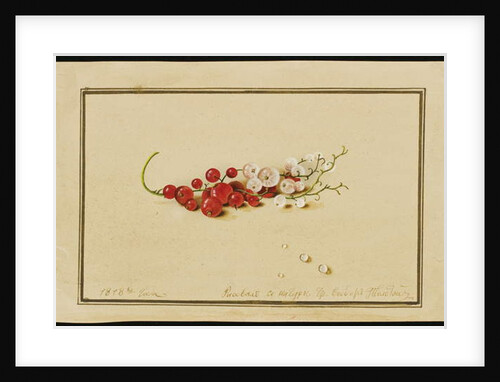 Red and White Currants, 1818 by Fedor Petrovich Tolstoy