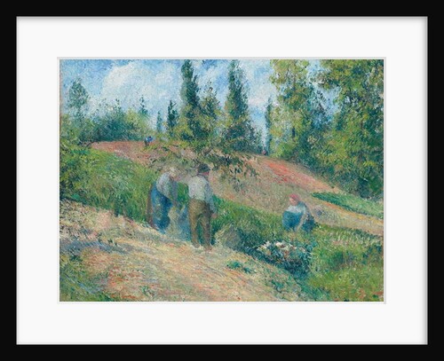 The Harvest, Pontoise, 1880 by Camille Pissarro