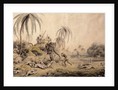 Hunting Kuttauss or Civet Cat by Samuel Howitt