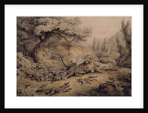 Wild Dogs Attacking a Tiger by Samuel Howitt