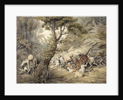 Tiger Attacking a Cattle Train by Samuel Howitt