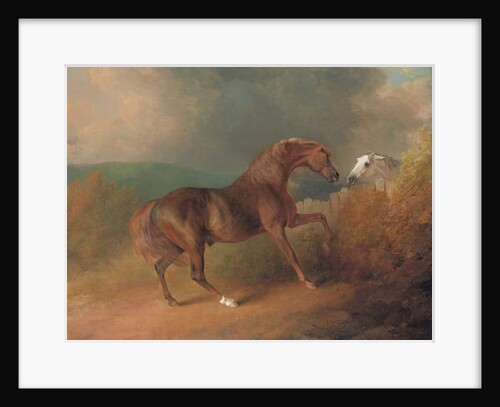 Colonel Thornton's Jupiter, by Eclipse out of a Mare by Tartar, by a Fence, with a Grey Mare, at Thornville Royal, 1792 by Sawrey Gilpin