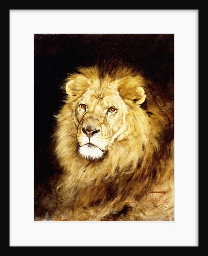 The Head of a Lion, by Geza Vastagh