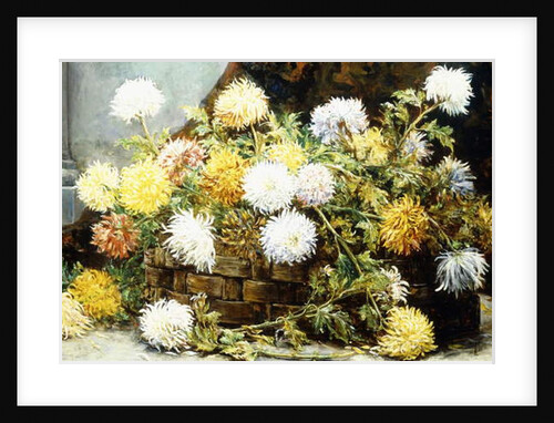 Chrysanthemums in a Basket, 19th century by August Pollak