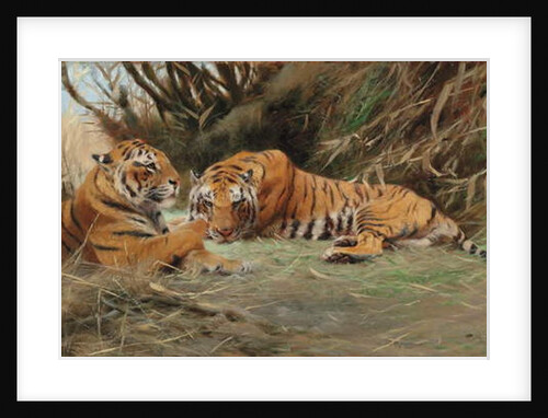 Tigers at Dawn, 1913 by Wilhelm Kuhnert