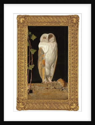 The White Owl, 1856 by William J. Webbe or Webb
