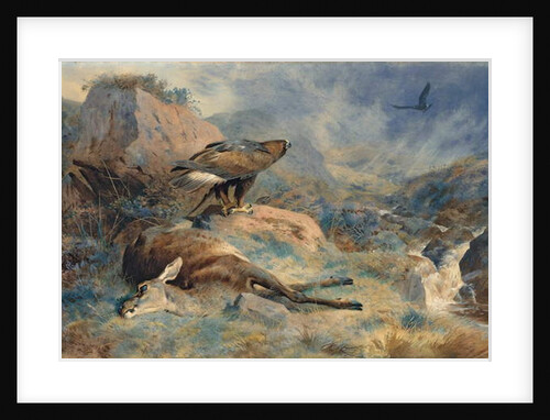 The Lost Hind, 1894 by Archibald Thorburn