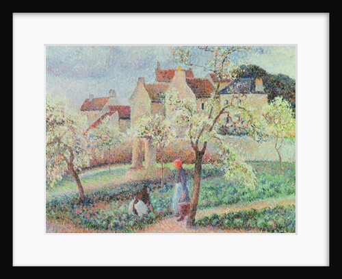 Plum Trees in Flower, 1889 by Camille Pissarro
