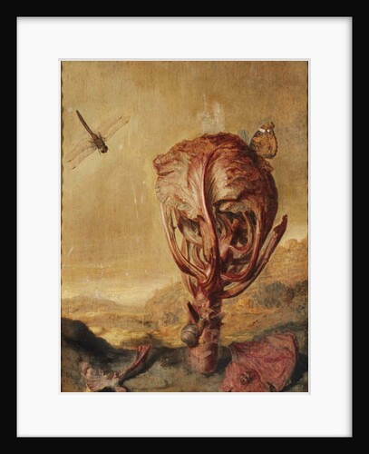 A red cabbage, a snail, a butterfly, a dragonfly, a bee and a wood louse in a landscape by Margarethe de Heer