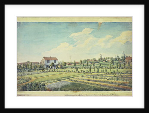 William Curtis's Botanic Gardens, Lambeth Marsh, c.1787 by James Sowerby