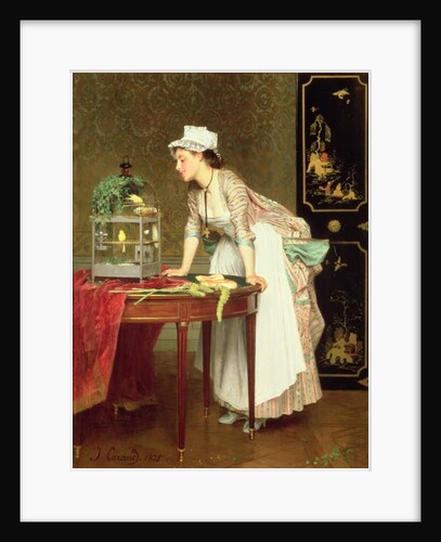 The Yellow Canaries by Joseph Caraud
