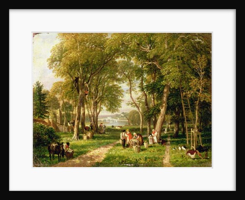 Walnut Gathering in Petersham, Near Richmond Bridge by William Havell