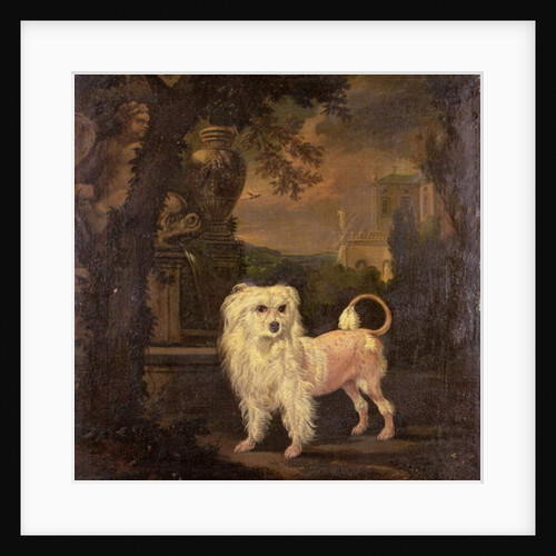 A Lowchen By A Fountain by Jan Wyck