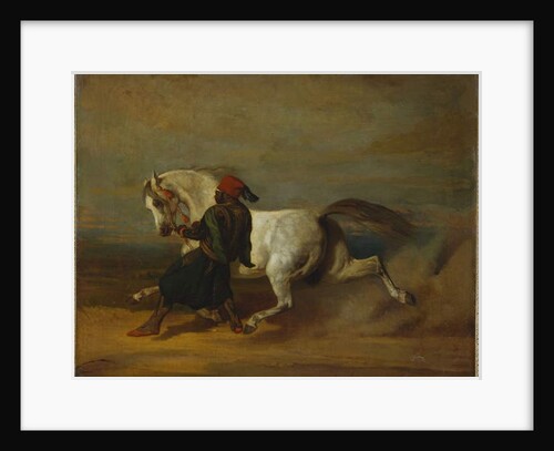 The Pasha's Pride by Alfred Dedreux or de Dreux