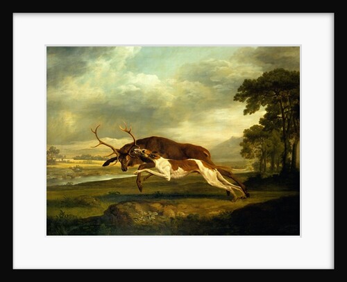 A Hound attacking a stag by George Stubbs