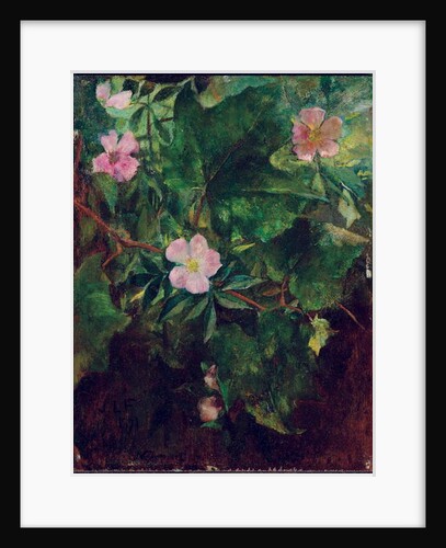 Wild Rose and Grape Vine, Study From Nature, 1871 by John La Farge or Lafarge