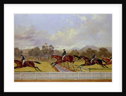 A Steeplechase by Samuel Henry Alken