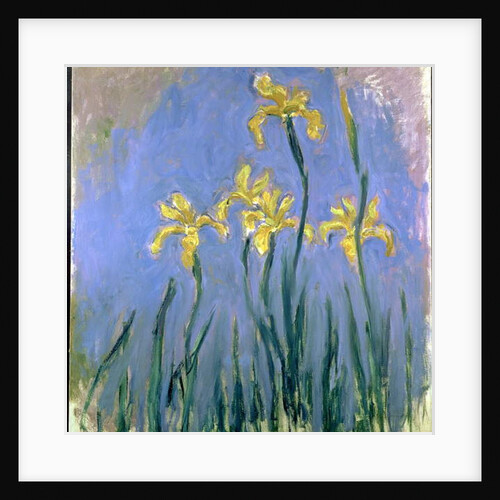 Yellow Irises; Les Iris Jaunes, c.1918-1925 by Claude Monet