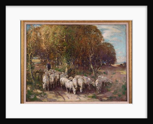 Driving the Flock by George Smith