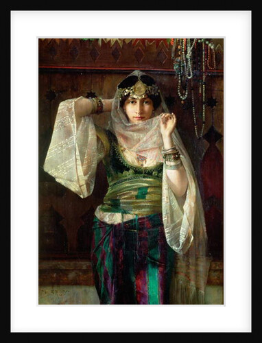 The Queen of the Harem by Max Ferdinand Bredt