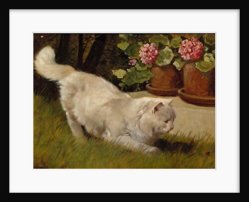A White Persian Cat with a Ladybird by Arthur Heyer