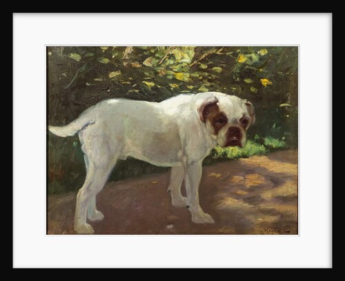 A Bulldog on a Garden Path by Arthur Heyer