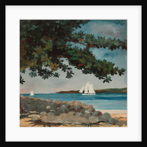 Nassau: Water and Sailboat, 1899 by Winslow Homer