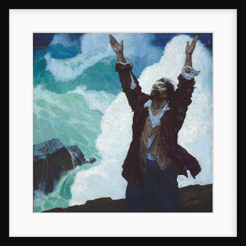 Robinson Crusoe: Cover, 1920 by Newell Convers Wyeth