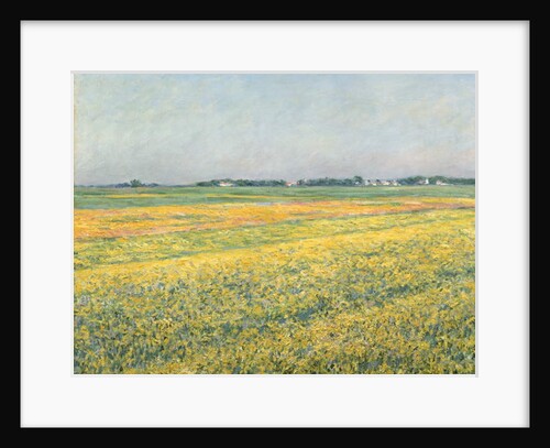 The Plain of Gennevilliers, Yellow Fields; La plaine de Gennevilliers, champs jaunes, 1884 by Gustave Caillebotte