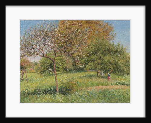 The Great Walnut Tree, Morning, Eragny by Camille Pissarro