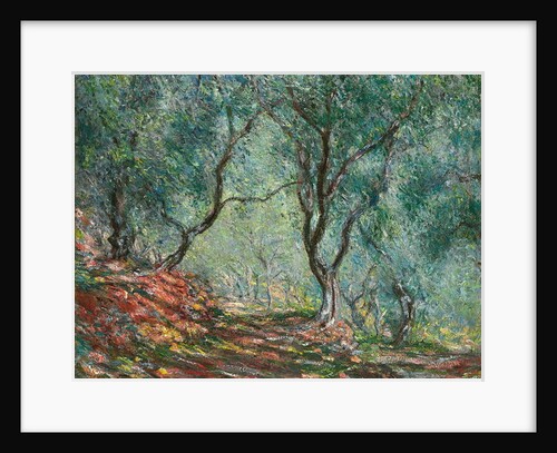 Olive Trees in the Moreno Garden, 1884 by Claude Monet