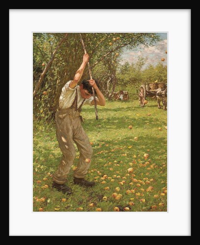 Shaking Down Cider Apples by Henry Herbert La Thangue