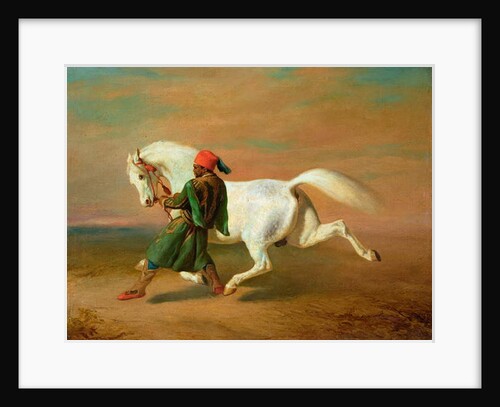 The Pasha's pride by Alfred Dedreux