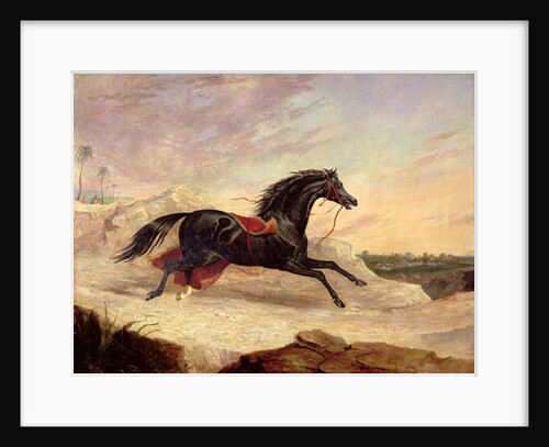 Arabs chasing a loose arab horse in an eastern landscape by John Frederick Herring Snr