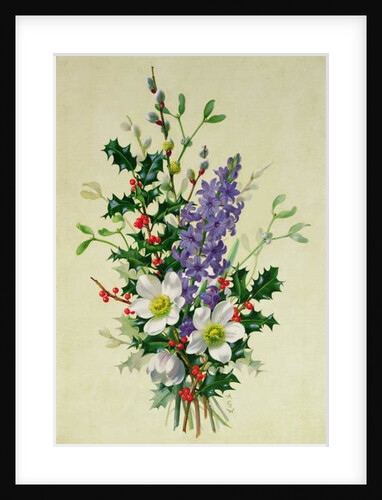 Spray of Dogrose, Holly, Mistletoe and Larkspur by Albert Williams