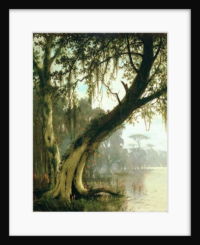 In the Bayou by Joseph Rusling Meeker