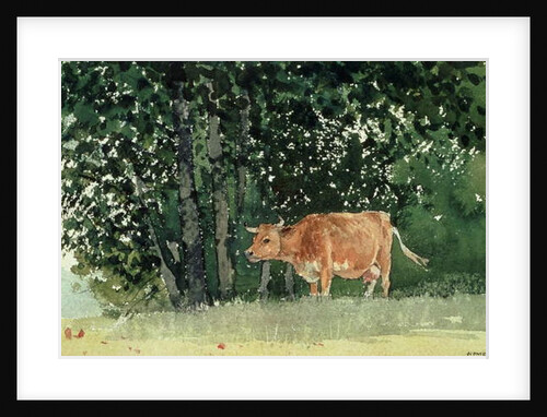 Cow in Pasture, 1878 by Winslow Homer