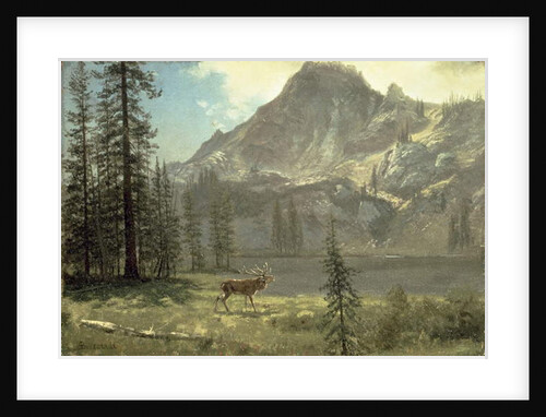 Call of the Wild by Albert Bierstadt