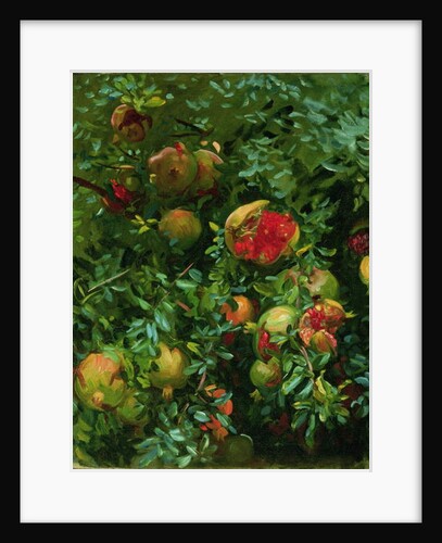 Pomegranates, Majorca, c.1908 by John Singer Sargent
