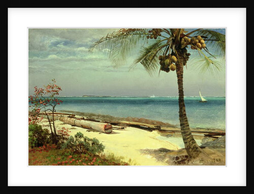 Tropical Coast by Albert Bierstadt