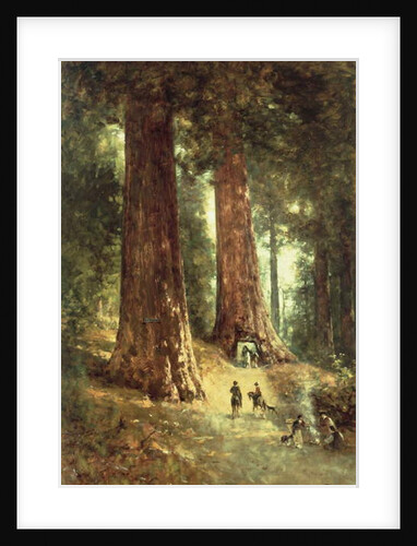 In the Redwoods, 1899 by Thomas Hill