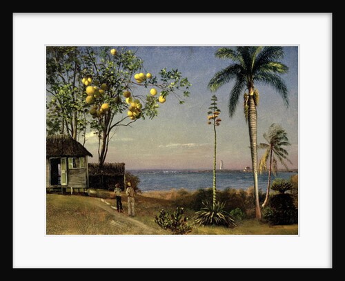 Tropical Scene by Albert Bierstadt
