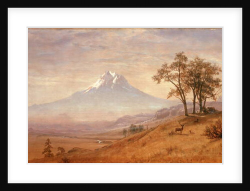 Mount Hood, 1863 by Albert Bierstadt