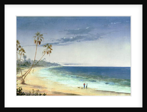 Cuban Landscape, 1866 by Charles de Wolfe Brownell