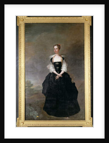 Portrait of a lady by Charles Jervas