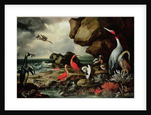 A Penguin, a Pair of Flamingoes, and Other Exotic Birds, Shells, and Coral on the Shoreline by Philip Reinagle
